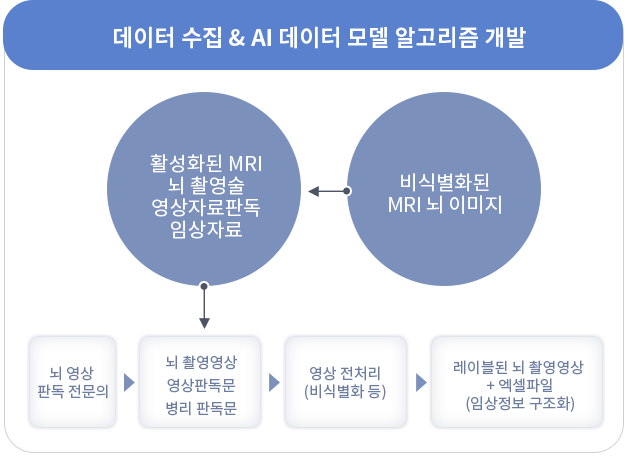 액티브 브레인 의료 생체 ai 데이터셋 구축 이미지