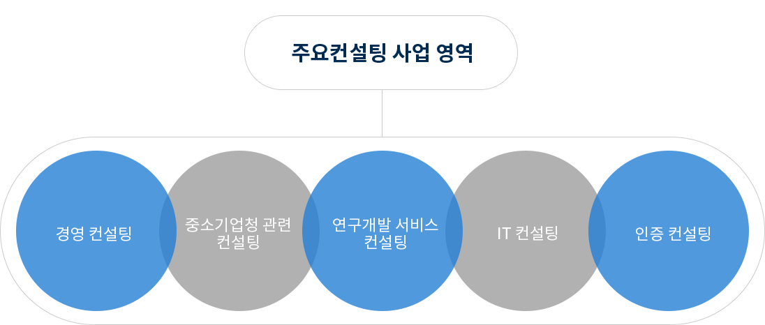 주요컨설팅 사업 영역